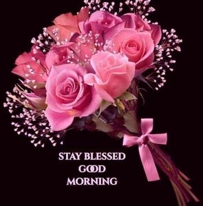 Meet your Posher, Marie